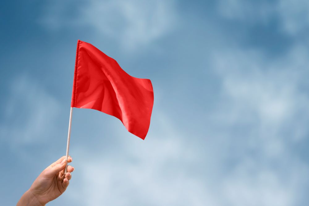 Red Flags to Watch Out for When Hiring an SEO Consultant