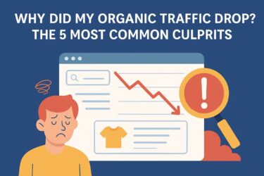 Why Did My Organic Traffic Drop? The 5 Most Common Culprits
